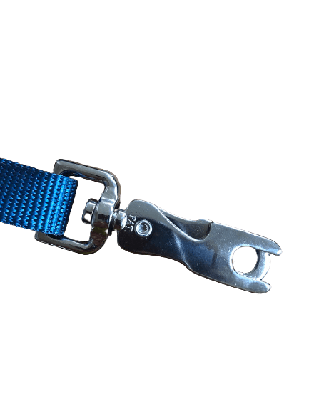 Security Car Lead (I - dog) - SnowPaw Store - i - Dog - Dog Collars, Leads, Belts